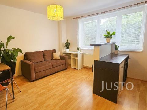 Pronájem bytu 1+kk, Písek - Pražské Předměstí, Přemyslova, 27 m2