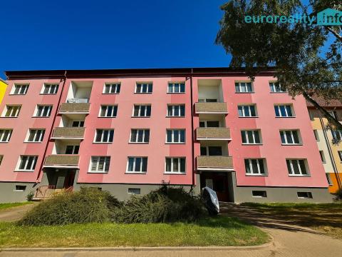 Pronájem bytu 1+1, Cheb, Lesní, 35 m2
