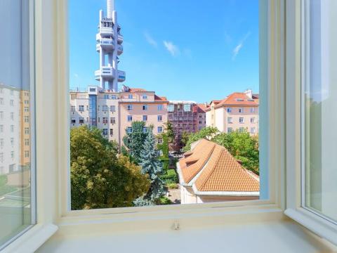 Prodej bytu 1+kk, Praha - Žižkov, Bořivojova, 22 m2
