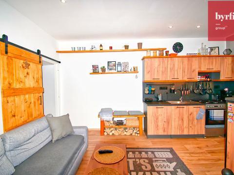 Pronájem bytu 2+kk, Opava, Přemyslovců, 40 m2