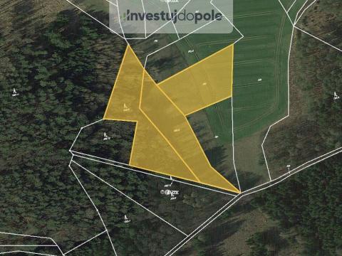 Prodej lesa, Hrazany - Klisinec, 2460 m2