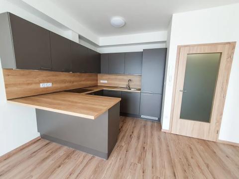 Pronájem bytu 2+kk, Brno, Plotní, 49 m2