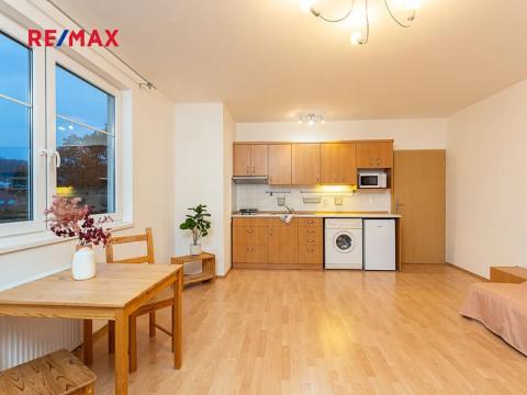 Pronájem bytu 1+kk, Praha - Libeň, Braunerova, 30 m2