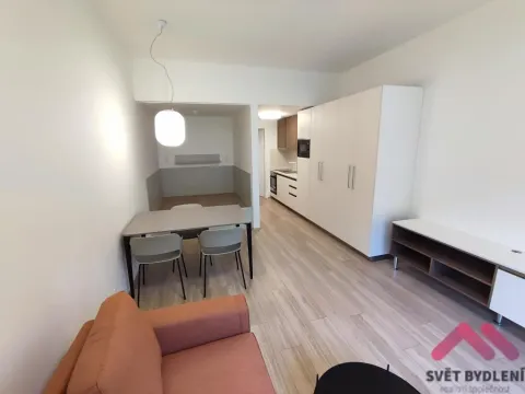 Pronájem bytu 1+kk, Praha - Žižkov, Hartigova, 38 m2