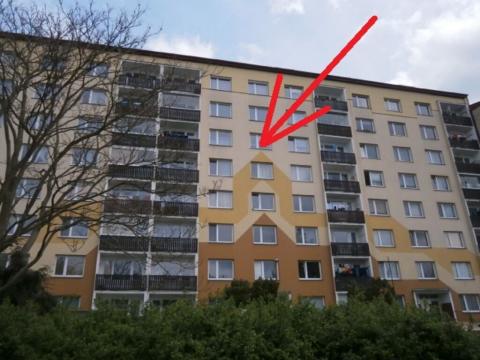 Prodej bytu 1+1, Ústí nad Labem - Severní Terasa, Švestková, 36 m2