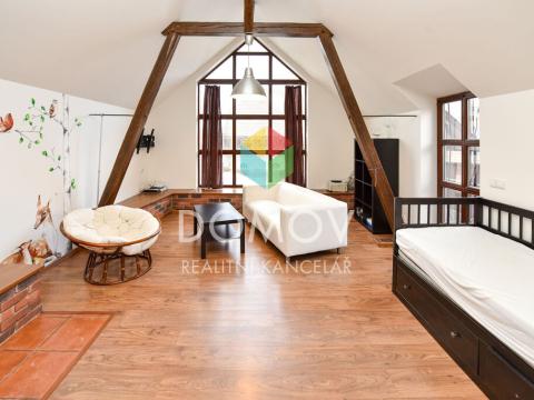 Pronájem bytu 1+kk, Chodouň, 60 m2
