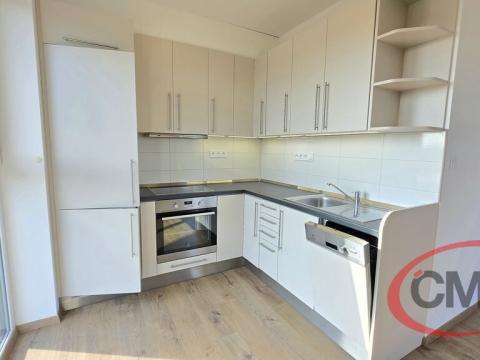Pronájem bytu 1+kk, Říčany, Na Výšině, 43 m2
