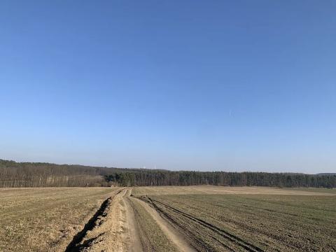 Dražba lesa, Bechlín, 2731 m2