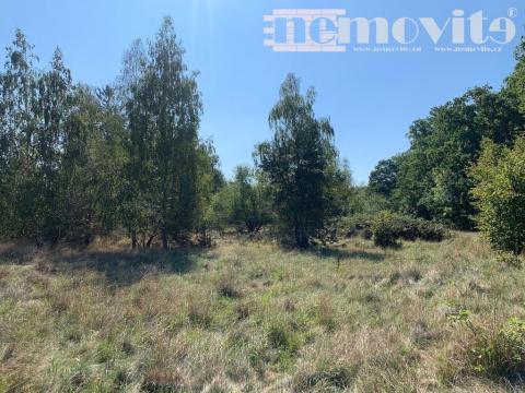 Prodej pozemku pro bydlení, Čeperka, 333 m2