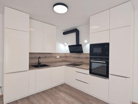 Pronájem bytu 1+kk, Plzeň - Východní Předměstí, Slovanská, 49 m2
