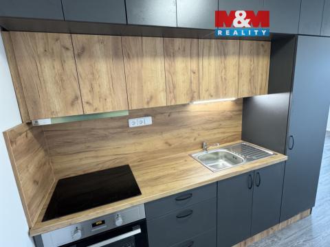 Pronájem bytu 1+kk, Louny, Husova, 38 m2
