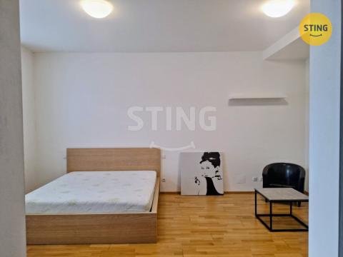 Pronájem bytu 2+kk, Brno, Hrnčířská, 43 m2