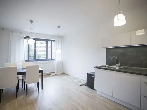Pronájem bytu 1+kk, Praha - Žižkov, Olšanská, 35 m2