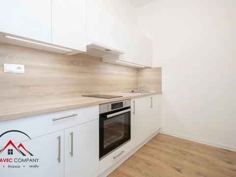 Pronájem bytu 1+kk, Ostrava, Palackého, 21 m2