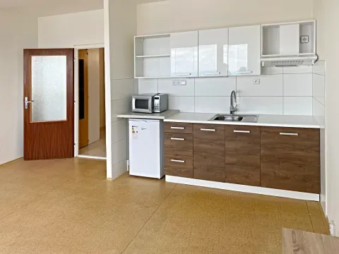 Pronájem bytu 1+kk, Brno, Oblá, 32 m2