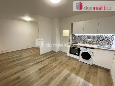 Pronájem bytu 1+kk, Praha - Nusle, U Svépomoci, 30 m2