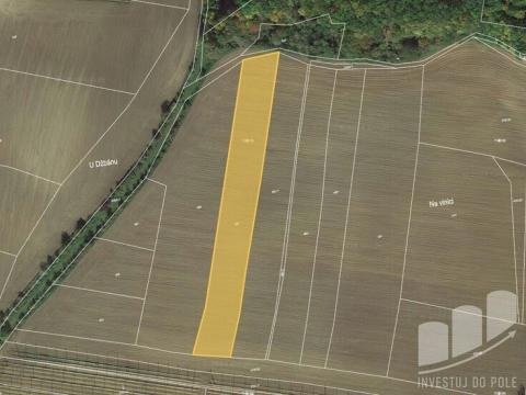 Prodej pole, Mutějovice, 6341 m2