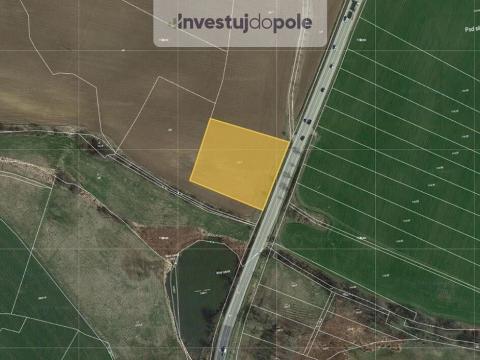 Prodej pole, Olbramovice - Zahradnice, 905 m2
