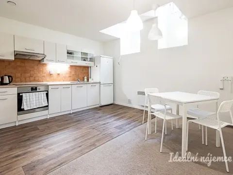 Pronájem bytu 1+kk, Praha - Vinohrady, Mánesova, 63 m2