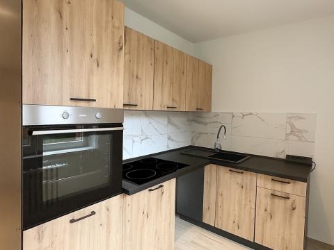 Pronájem bytu 2+1, Havířov, Kosmonautů, 55 m2