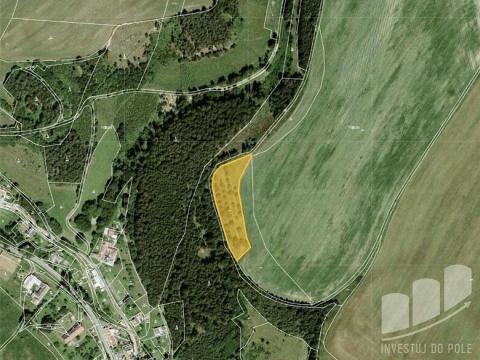Prodej louky, Bělá nad Svitavou, 5828 m2