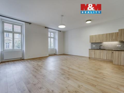 Pronájem bytu 1+kk, Plzeň - Jižní Předměstí, Americká, 59 m2