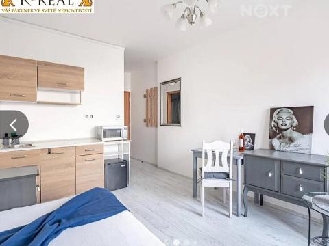 Pronájem bytu 1+kk, Brno, Pražská, 23 m2