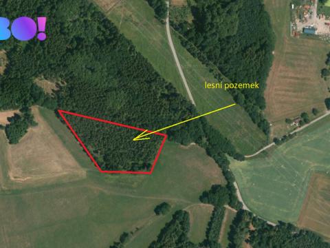 Prodej lesa, Cehnice - Dunovice, 12580 m2