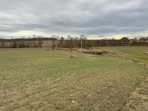 Prodej komerčního pozemku, Malotice, 12163 m2