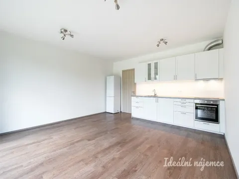 Pronájem bytu 1+kk, Praha - Střížkov, Roudnická, 38 m2