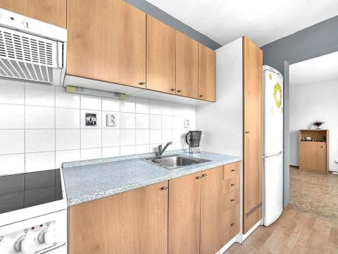 Pronájem bytu 1+kk, Milovice, Braniborská, 30 m2