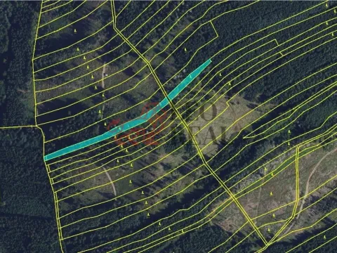 Prodej lesa, Městečko Trnávka, 33528 m2