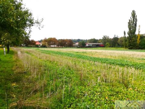 Prodej pozemku pro bydlení, Kolešovice, 985 m2