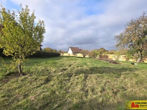 Pronájem zahrady, Lesní Hluboké, 1471 m2