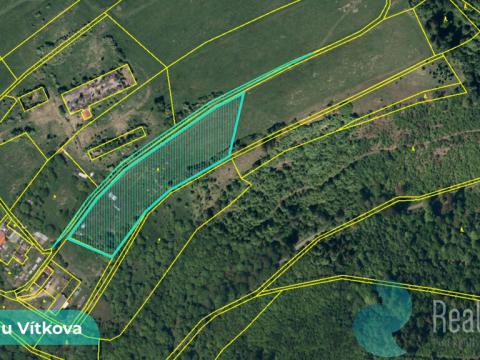Prodej podílu 1/4 louky, Vítkov, 2776 m2