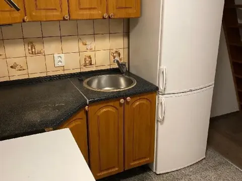 Pronájem bytu 1+kk, Praha - Vysočany, Freyova, 30 m2