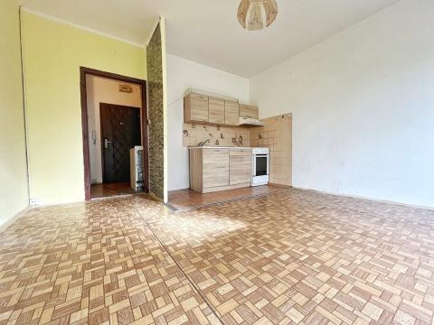 Pronájem bytu 2+kk, Ústí nad Labem, Brandtova, 40 m2