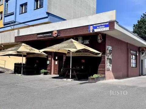 Prodej restaurace, Ústí nad Labem, Pod Parkem, 75 m2