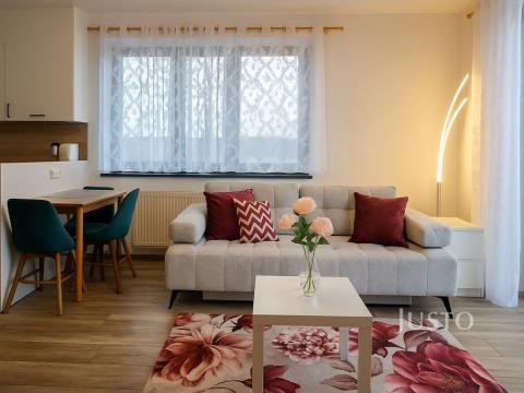 Prodej bytu 1+kk, Písek, Pražská, 32 m2