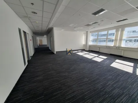 Pronájem komerční nemovitosti, Praha, Radlická, 405 m2
