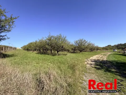 Prodej pozemku pro bydlení, Veverské Knínice, 1043 m2