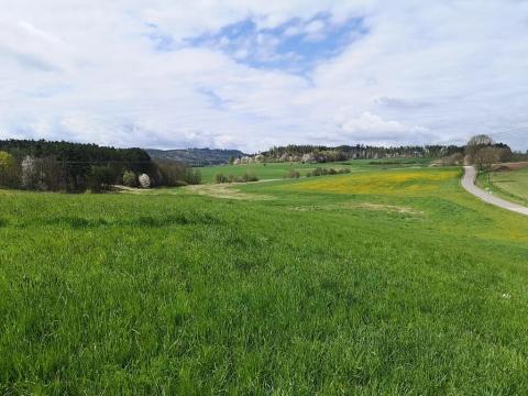 Prodej pozemku pro bydlení, Radomyšl, 8500 m2