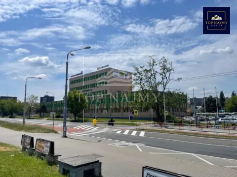 Pronájem kanceláře, Ostrava, Novinářská, 33 m2
