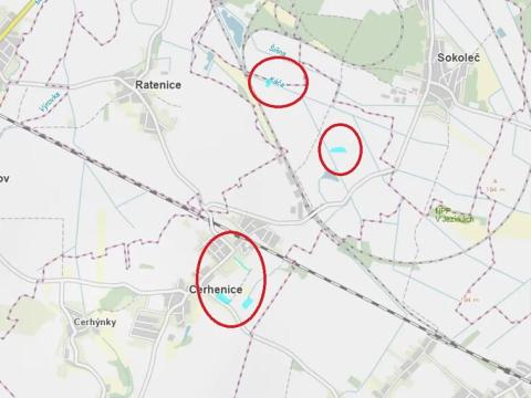 Prodej podílu pole, Cerhenice, 10056 m2