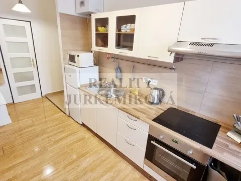 Prodej bytu 1+1, České Budějovice - České Budějovice 3, Riegrova, 45 m2