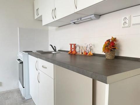 Pronájem bytu 1+1, Litvínov, Školní, 35 m2