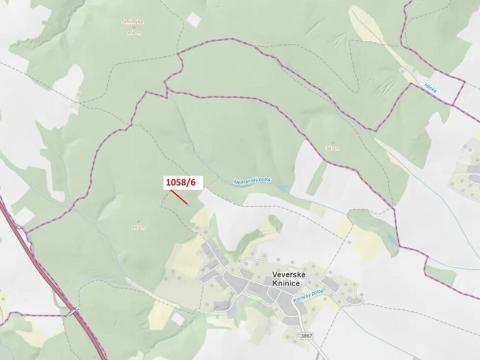 Dražba lesa, Veverské Knínice, 77 m2