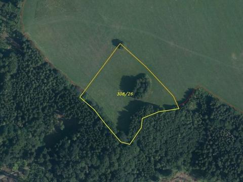 Dražba louky, Hanušovice, 53256 m2