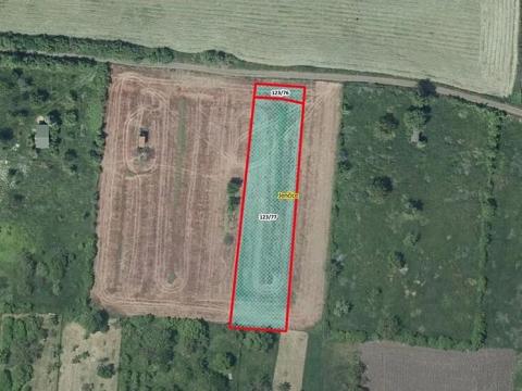 Prodej zahrady, Jenčice, 1846 m2