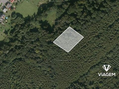 Prodej podílu lesa, Ludgeřovice, 1545 m2